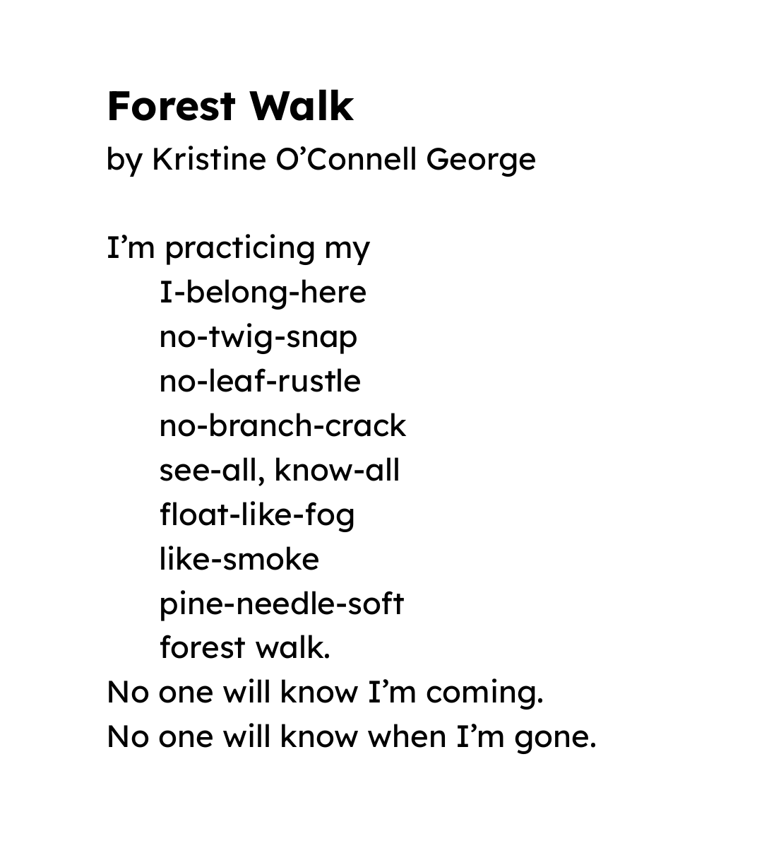 Forest Walk – Write
